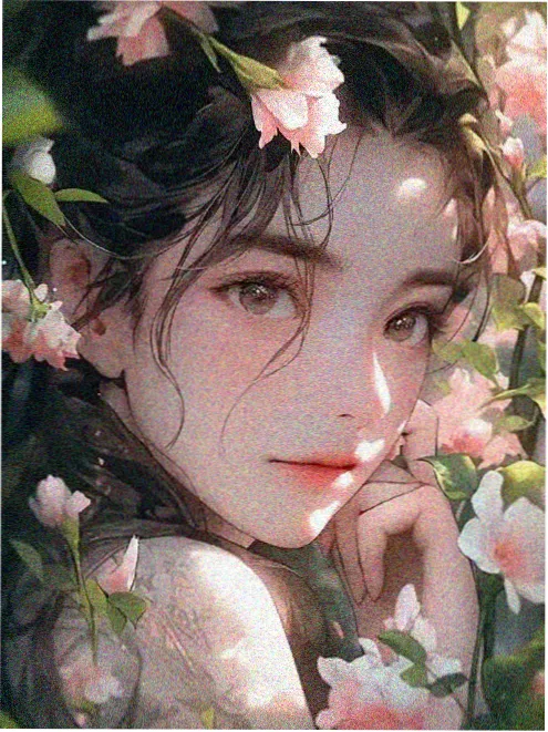 云之羽高清在线观看